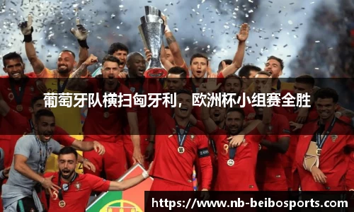 葡萄牙队横扫匈牙利，欧洲杯小组赛全胜