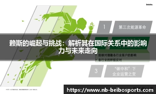 赖斯的崛起与挑战：解析其在国际关系中的影响力与未来走向